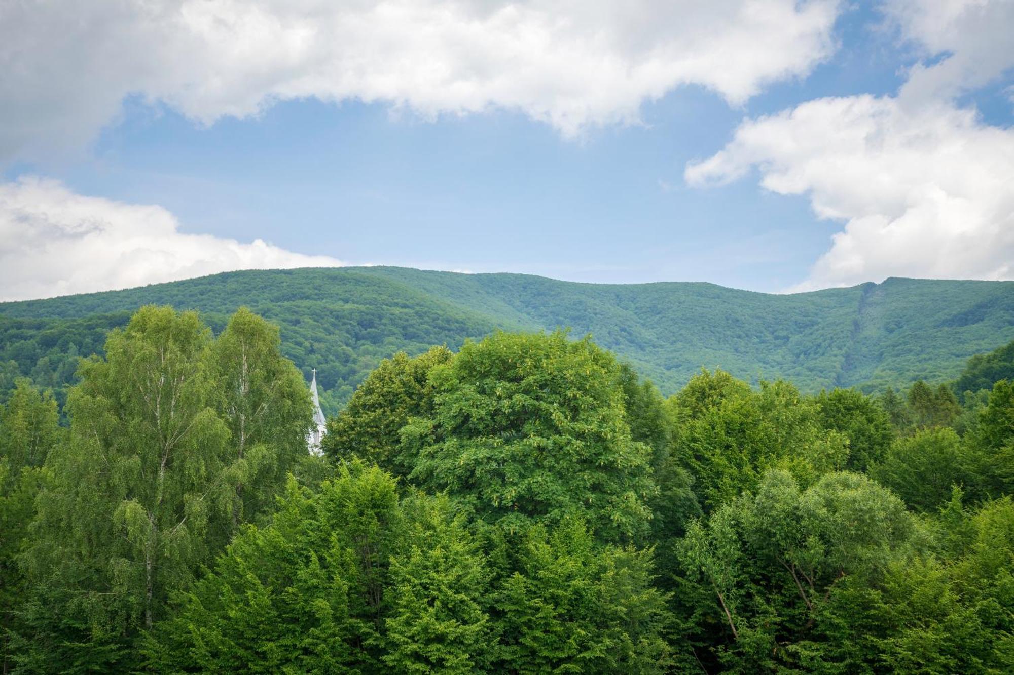 Vovk Gasthaus Sinyak  Εξωτερικό φωτογραφία